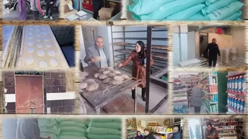 تموين القليوبية يحرر 55 مخالفة خلال حملات مكثفة بعدة مراكز