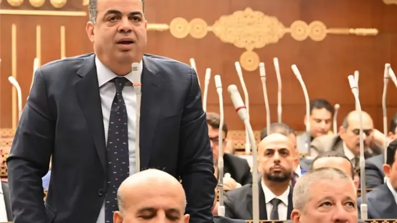 النائب عصام هلال يطالب الحكومة بخطة زمنية لتنظيم استخدام الأطفال للهواتف المحمولة.. ويوجه الشكر للرئيس السيسي