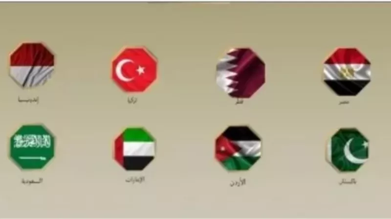 8 دول عربية وإسلامية من بينهم مصر يدينون الانتهاكات الإسرائيلية لوقف إطلاق النار فى غزة