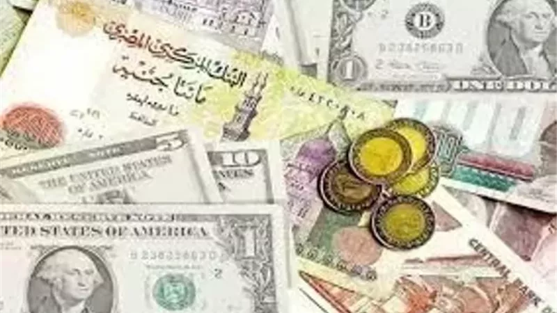 سعر الدولار اليوم الإثنين 2/2/2026 في البنوك المصرية