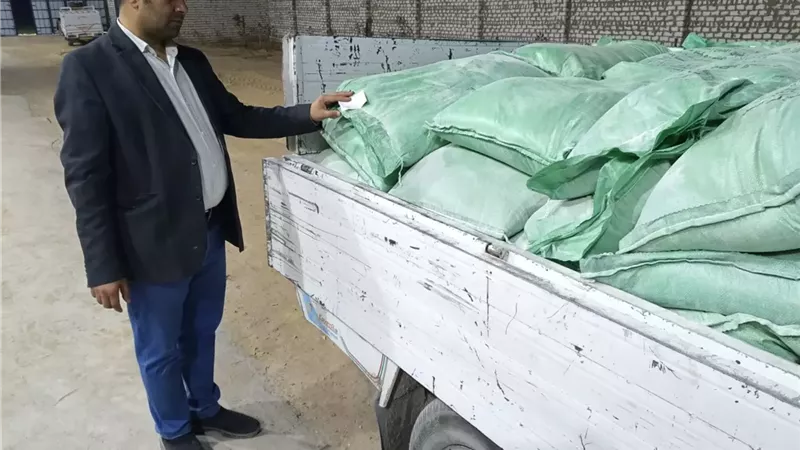 إستهلاك 83 مليون رغيف و3900 طن دقيق بالأقصر