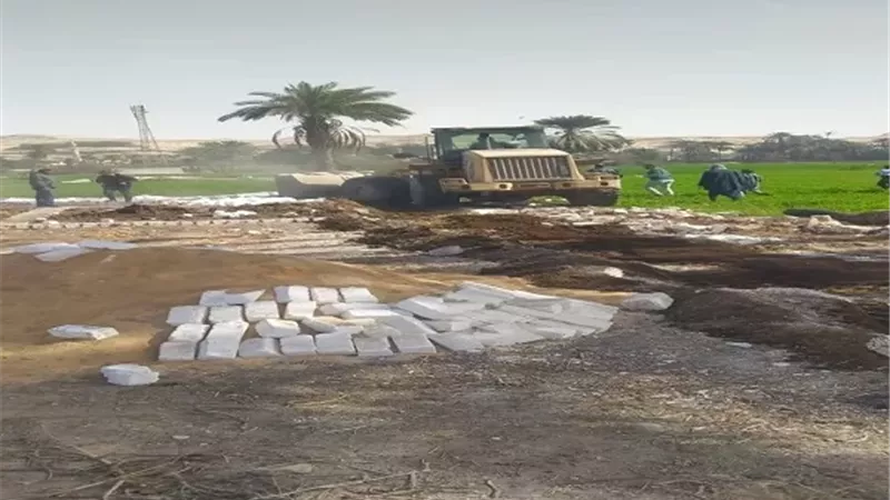إزالة 2174 حالة تعد على الاراضي الزراعيه وأملاك الدولة بالمنيا