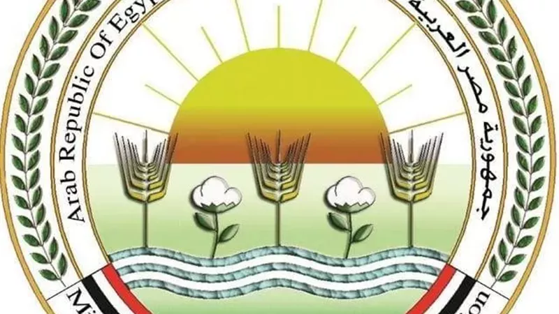الزراعة: توفير احتياجات مزارعي القمح من التقاوى عالية الإنتاجية