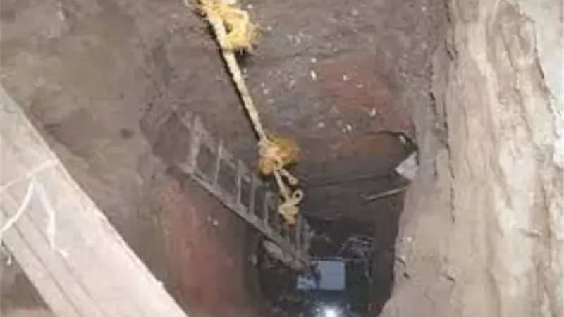 ما هى عقوبة التنقيب عن الاثار فى القانون؟