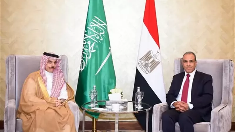 وزير الخارجية يبحث مع نظيره السعودي تطورات الاوضاع الاقليمية الراهنة