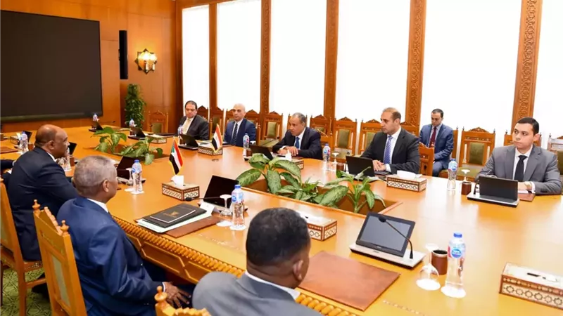 وزير الخارجية يؤكد رفض مصر محاولات تقسيم السودان والمساس بسيادتها