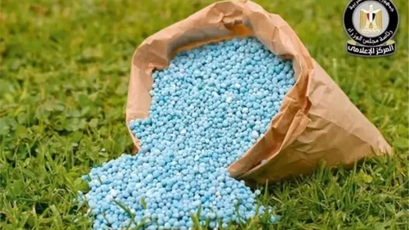 مركز الوزراء يوضح حقيقة نقص التقاوي والأسمدة لزراعة القمح