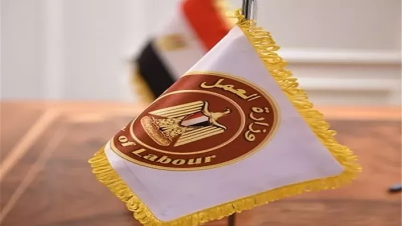 وزارة العمل تعلن عن فرص عمل للمصريين بالأردن براتب 450 ديناراً