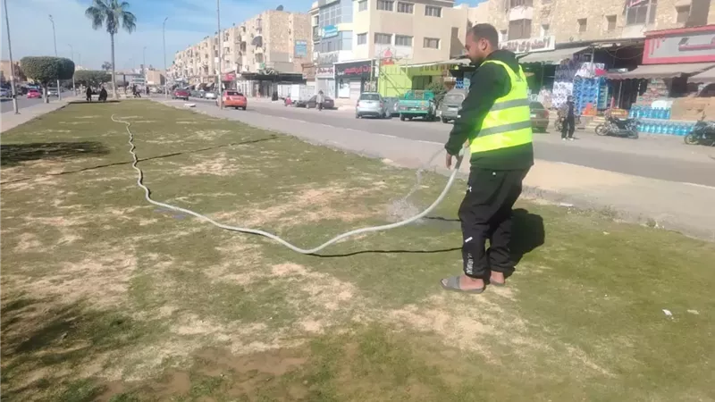 رفع كفاءة المسطحات الخضراء بالإسماعيلية..صور