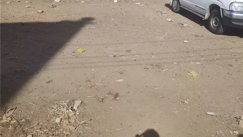 تطوير سوق الأربعاء في مدينة فايد بالإسماعيلية..صور