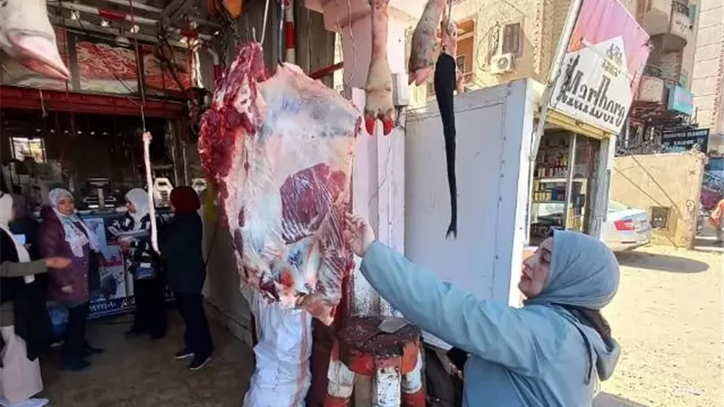جهاز بدر والبيطرى والتموين يضبطون 100 كيلو لحوم وتحرير 2 محاضر.. صور
