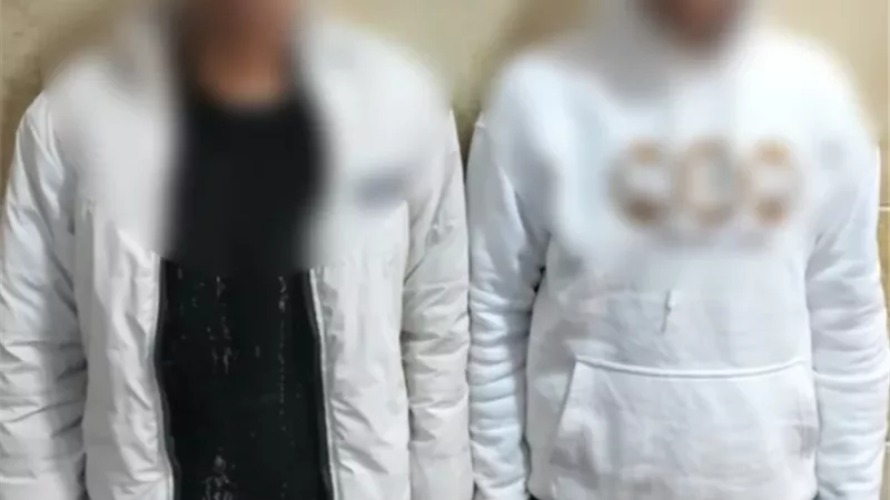 القبض على شخصين تحرشا بفتاة داخل محطة قطار دمنهور