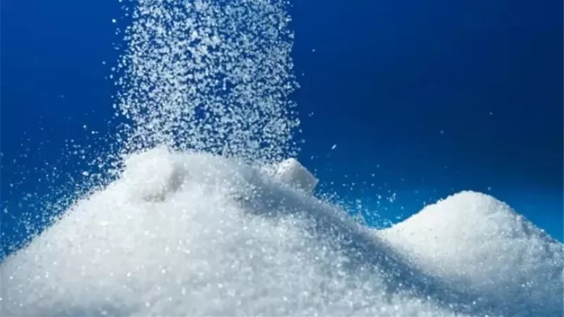 فائض الإنتاج العالمي يهوي بأسعار السكر