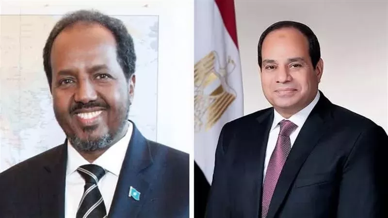 الرئيس السيسي: مسؤولية تأمين البحر الأحمر وخليج عدن تقع حصريا على عاتق الدول المشاطئة لهما