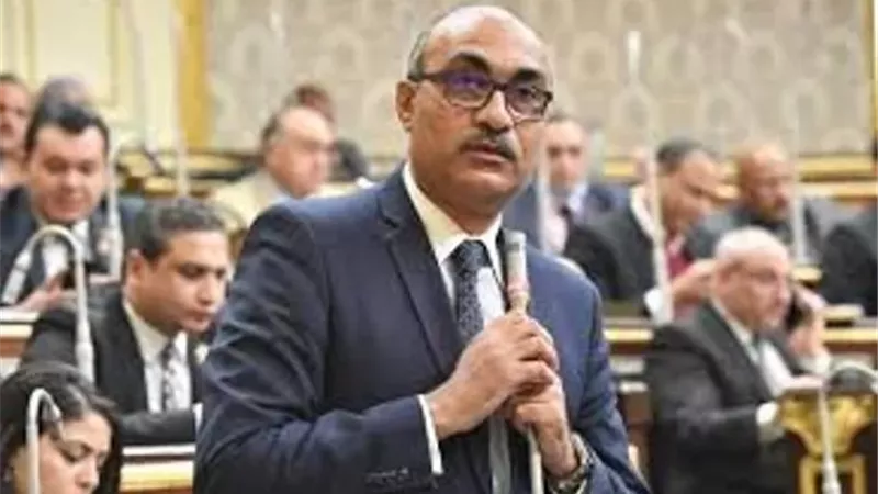 إيهاب منصور: تأخير صرف تعويضات نزع الملكية مخالف للدستور