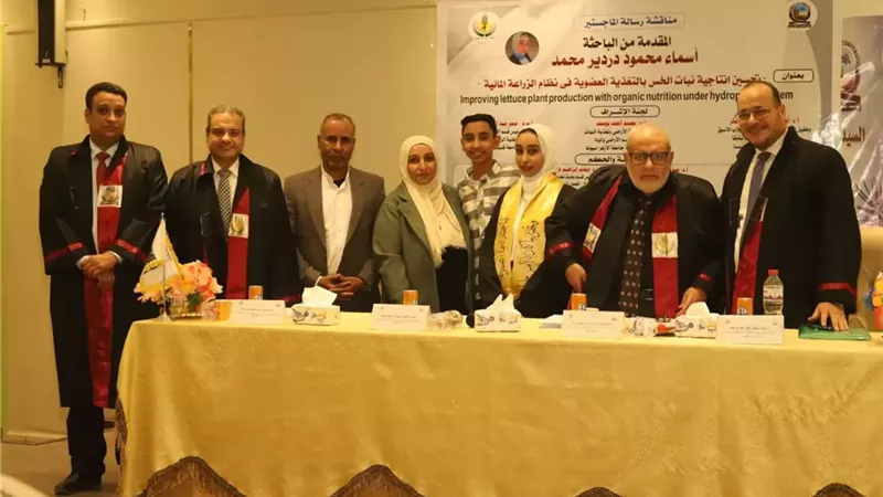 رسالة ماجستير بجامعة قنا تبتكر تكنولوجيا لإنتاج الخس بدون كيماويات