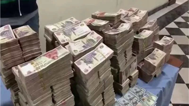 عنصران جنائيان يغسلان 40 مليون جنيه في أراضٍ زراعية بالقليوبية