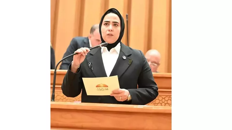 طلب إحاطة بشأن الغياب الرقابي عن مراكز ومستشفيات الطب النفسي الخاصة