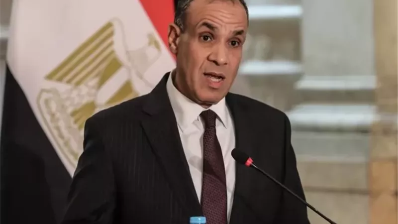 وزير الخارجية: نعمل على إنشاء خط لإنتاج الدواء المصري في السنغال