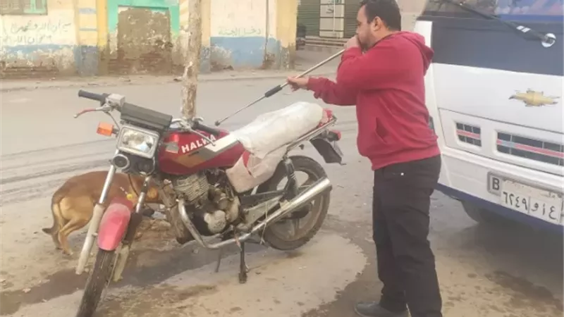 تحصين وتعقيم ٧٥٠ كلباً ضالاً ضد داء السعار