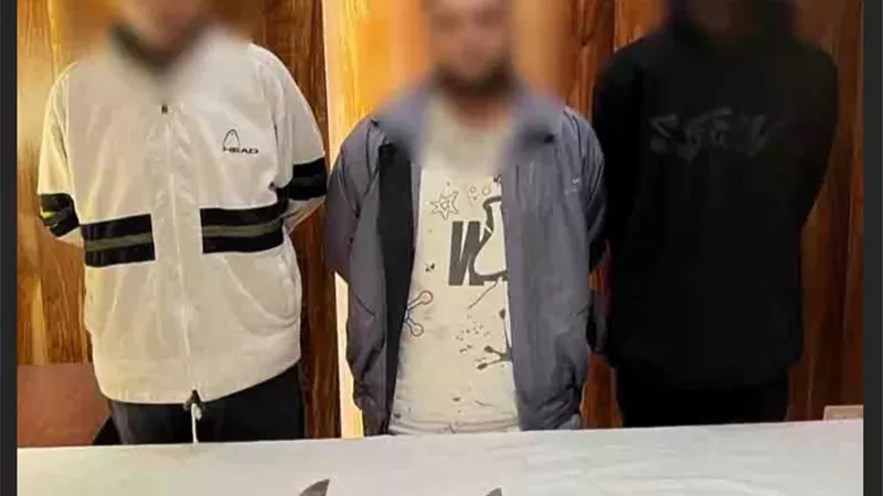 بسبب ثمن موبايل..الأمن يضبط طرفى مشاجرة بالأسلحة البيضاء