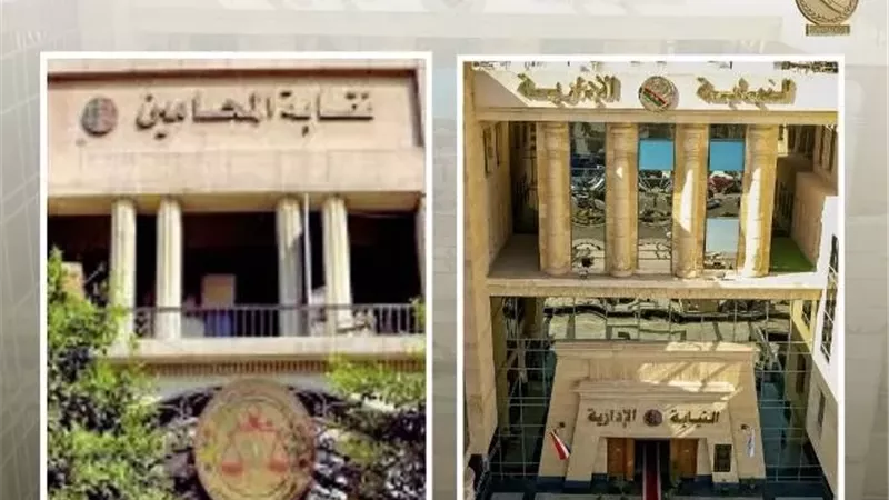 النيابة الإدارية تُشرف على إعادة انتخابات المحامين.. غدًا