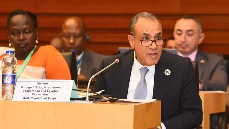 وزير الخارجية يجدد التزام مصر بدعم استرداد التراث الإفريقي