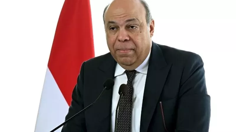وزير الطيران: إضافة طائرات جديدة لمصر للطيران لتعزيز القدرات