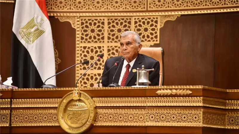مجلس الشيوخ يرفع جلساته العامة لـ 8 مارس المقبل