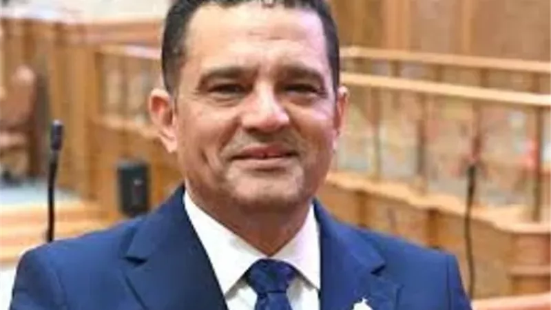 النائب أمير أحمد