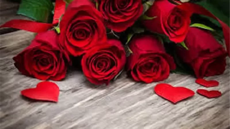 لماذا يرتبط اللون الأحمر بالرومانسية؟