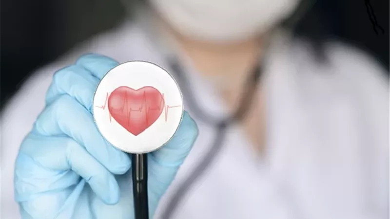 دراسة .. الأطعمة المخمّرة قد تعزز صحة القلب وتنظم سكر الدم