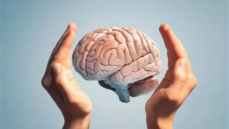دراسة .. علاقة مفاجئة بين شكل اليد وحجم الدماغ