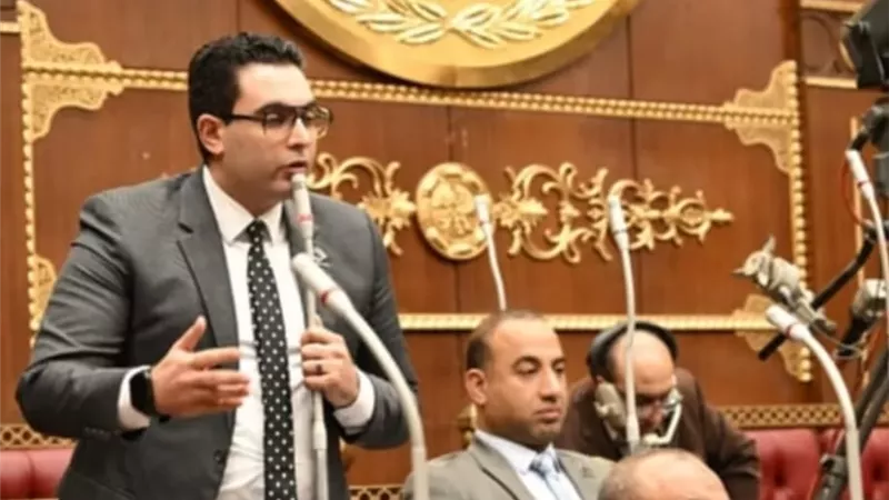 عضو بالشيوخ يطالب بتطبيق التجربة الأيرلندية لتسريع قوائم الانتظار بالمستشفيات
