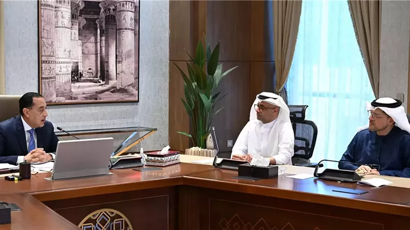مدبولي يتابع مستجدات تنفيذ مشروع 