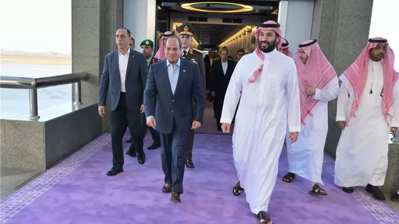 الرئيس السيسي وولي العهد السعودي يؤكدان ضرورة زيادة نفاذ المساعدات إلى غزة