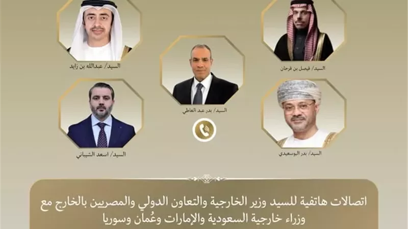 وزير الخارجية: رفض أي اعتداء على الأراضي العربية وسيادة الدول