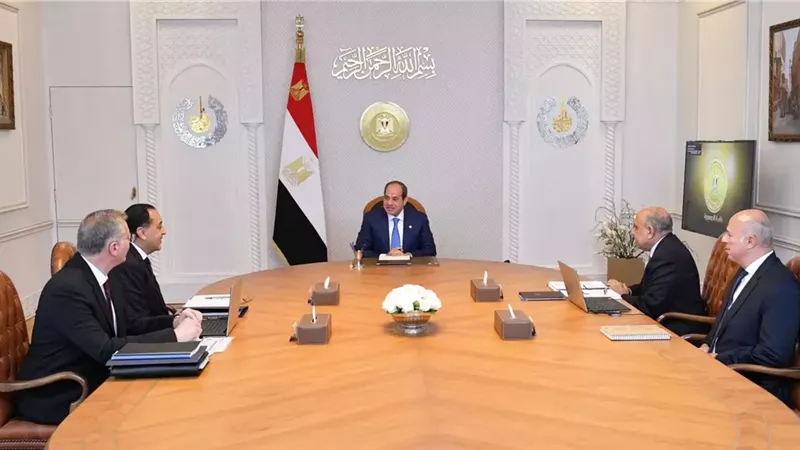 الرئيس يطلع على خطة العمل لضمان توفير احتياجات قطاع الكهرباء من المنتجات البترولية