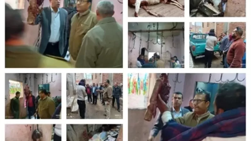 ضبط سلخانة منزلية بالباجور وتوجيهات رادعة من محافظ المنوفية