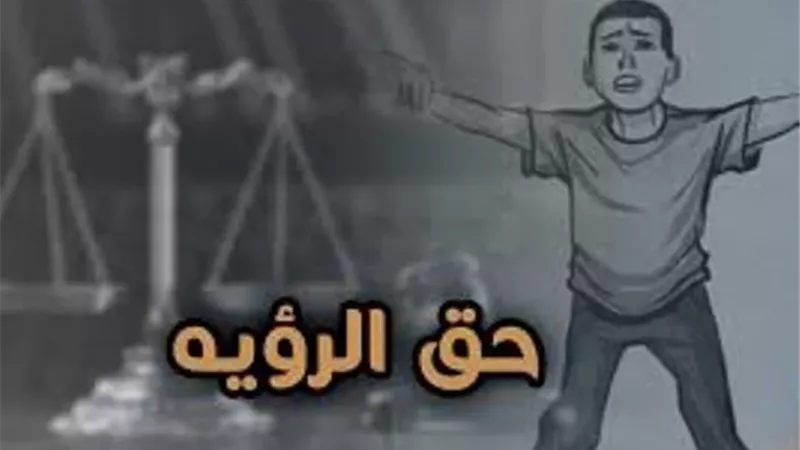 القواعد الأساسية لحق الرؤية.. تعرف عليها