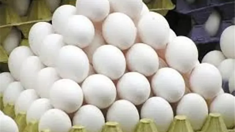 الزراعة تطرح بيض المائدة والسلع الغذائية بتخفيضات 25%