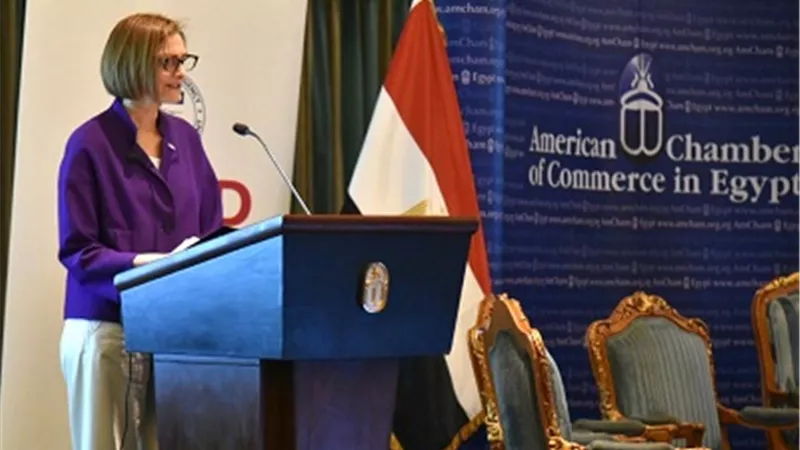 شيري كارلين:الولايات المتحدة من أهم شركاء التنمية في مصر