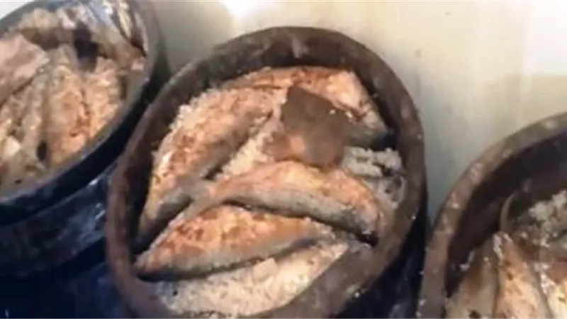 بعد وفاة مواطن و اصابة 50مركز السموم يحذر من تناول الفسيخ