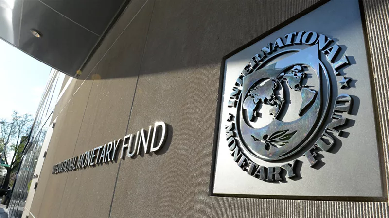 صندوق النقد الدولي يشيد بقرار خفض أسعار بعض المنتجات البترولية في مصر