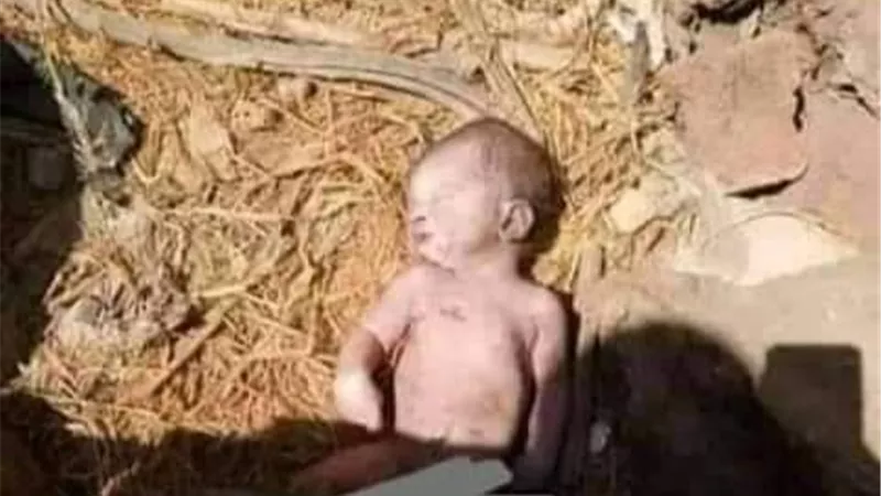 طفلة تعثر على جثة رضيع حديث الولادة في منزل مهجور بالدقهلية