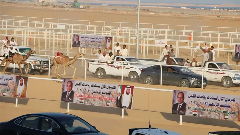 نتائج مبهرة في ثالث أيام سباق شرم الشيخ الدولى للهجن
