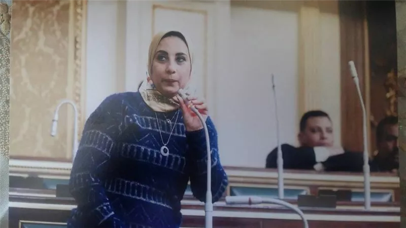 نائبة توجه سؤالًا للحكومة بشأن خطتها لاستقبال موسم السيول