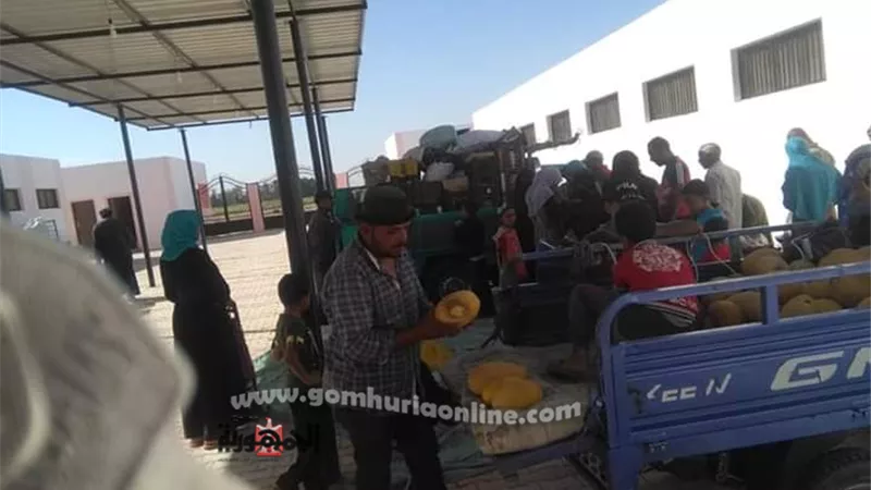 خضر وفاكهة ومنتجات محلية بأسعار مخفضة بالوادى الجديد