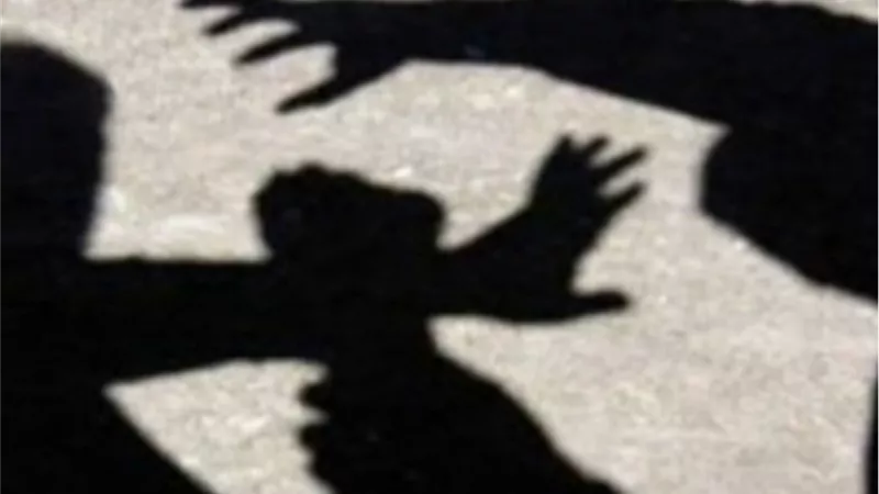 توجيه ١٠ تهم بالقتل والاغتصاب لابن رجل اعمال شهير