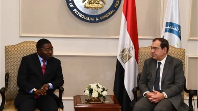 وزير البترول يبحث مع نظيره التنزانى أوجه التعاون المشترك بين البلدين.. صور